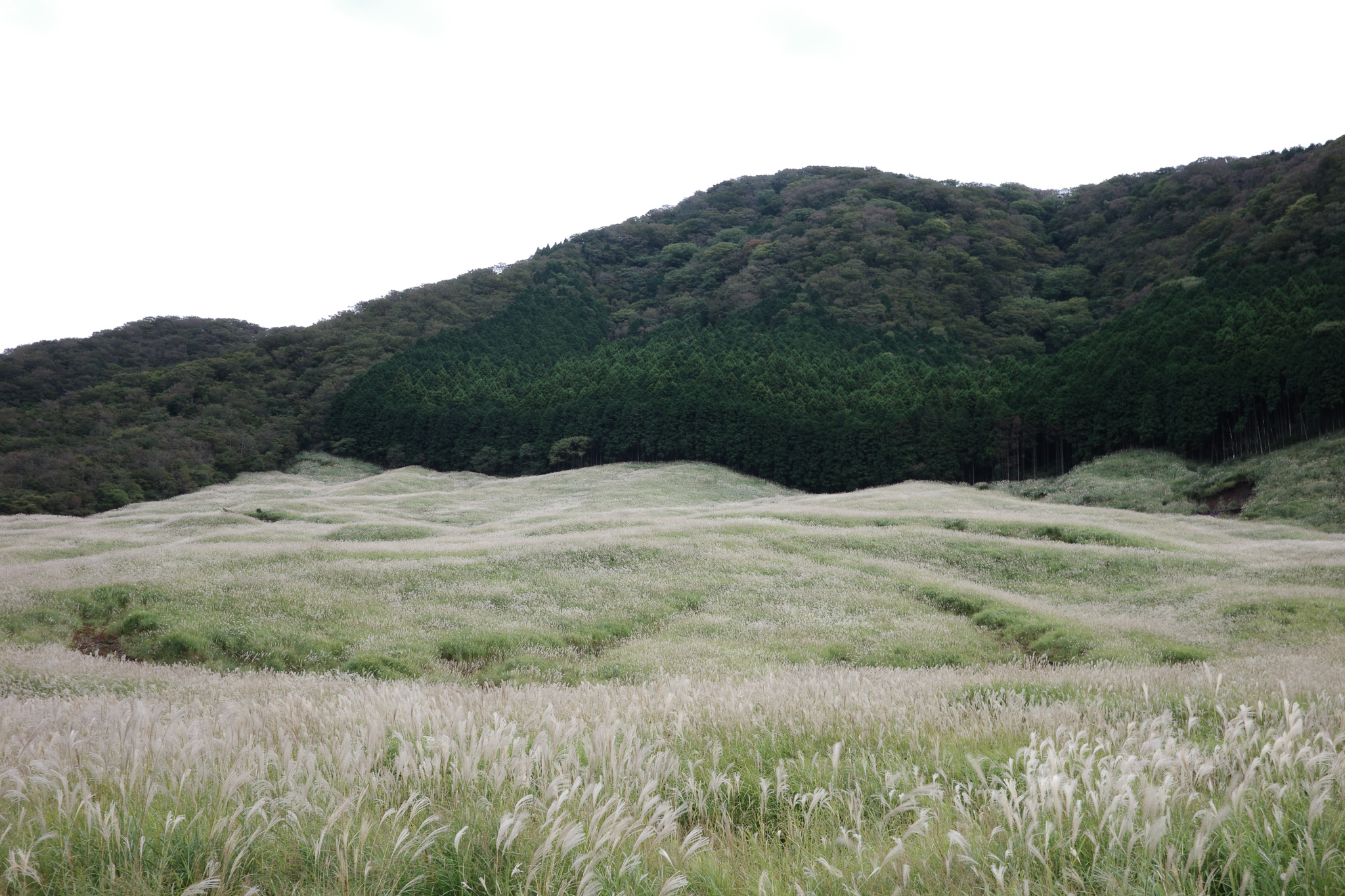 Landscape with hills and grassland